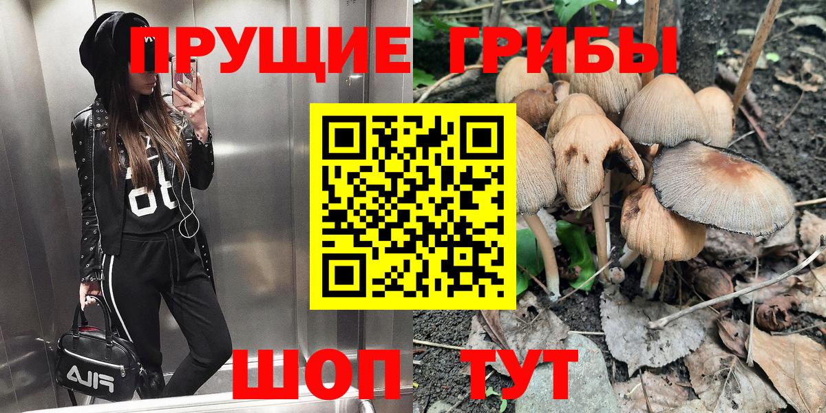 Псилоцибиновые грибы GOLDEN TEACHER  Галлюциногенные грибы мицелий  Озёрск  Вход с VPN 